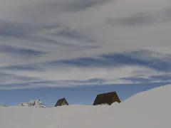 20110226 Bedoleta 0007 1