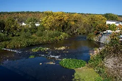 20111002 Enz In Niefern 060