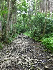 2012 06 06 Deubachtal 3