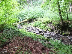 2012 06 06 Deubachtal 4