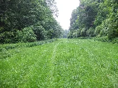 2012 06 06 Deubachtal 6