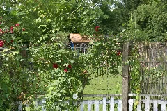 2012.07.07.105512 Schrebergarten Dossenheim