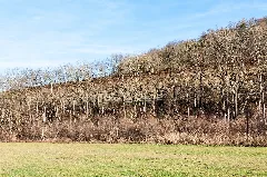 20121229 Heimhausen Gesteinsaufschluss