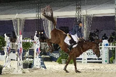 2013 Longines Global Champions Lausanne 13 09 2013 10