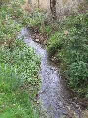 20131107 Görresbach 3