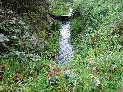 20131107 Görresbach 7