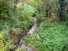20131114 Roisdorfer Bornheimer Bach 1