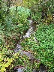 20131114 Roisdorfer Bornheimer Bach 2