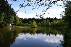 2014.05. Teich Am Dollenbrucher Bach Lsg Kreis Olpe Kirchhundem