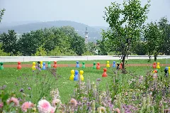 2014 07 28 11 39 26 Germany Bayern Deggendorf Fischerdorf