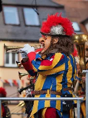 2014 Häs Ostalb Ruassgugga