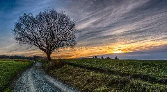 20140115 161453 Dsc9433 Hdr 1 Bearbeitet