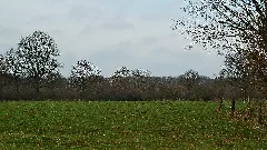 20140119 Mk Parklandschaft Dorbaum