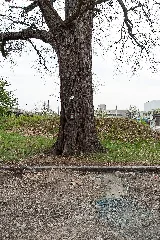 20140405164052 Linz 4933