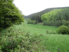20140510 Kohlenstraße 04