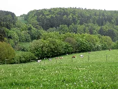 20140510 Kohlenstraße 05