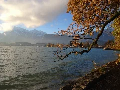 20141107 Hafen Lachen Thun 01