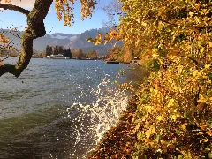 20141107 Hafen Lachen Thun 02