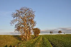 20141108 Erlesbachquelle 2