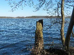 2015 03 18 Großer Wentowsee 021