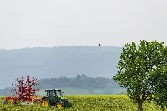 20150523 Naturpark Saar Hunsrück Irsch Traktor Baum Greifvogel Img 4554 By Sebaso