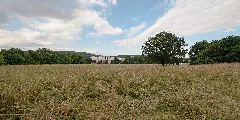 20150621 Stieleiche Breitenfurt 7563