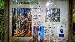 20150718 Blockschuttwald Tafel Rhön