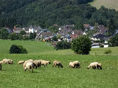 20150822 Försterweg 10 Keuenhof