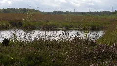 20150906 Mk Emsdettener Venn 006