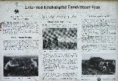 20150906 Mk Emsdettener Venn 007