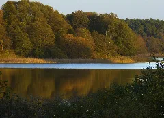 2016 10 30 Braminsee 295