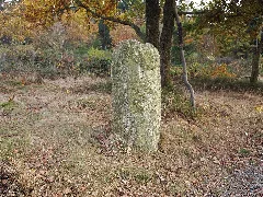 2016 11 01 Dreiherrenstein 1