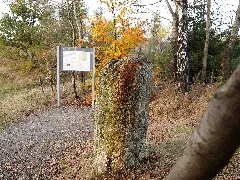 2016 11 01 Dreiherrenstein 3