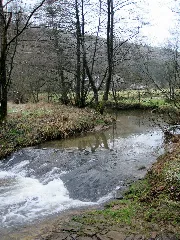 20160116 Mehren 2