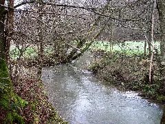 20160116 Mehren 3