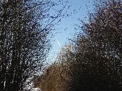 20160122 Xl P1020298 Windkraftanlagen (Wka) Bei Proetzel
