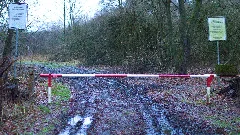 20160221 Mk Tuep Dorbaum