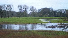 20160221 Mk Werseaue Haskenau