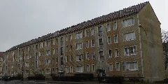 20160306 Xl P1020611 Prenzlau Tauben Auf Dem Dach