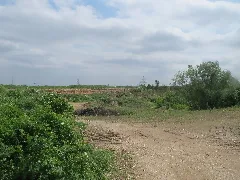 20160514Sandgrube Lambsheim1
