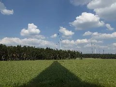 20160604 Xl 20160604 Xl P1040453 Feldheim Treuenbrietzen
