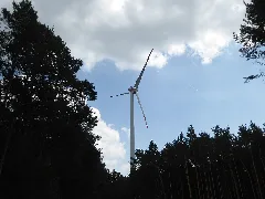 20160604 Xl P1040384 Feldheim Treuenbrietzen