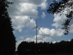 20160604 Xl P1040386 Feldheim Treuenbrietzen