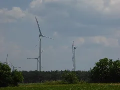 20160604 Xl P1040400 Feldheim Treuenbrietzen Wmc
