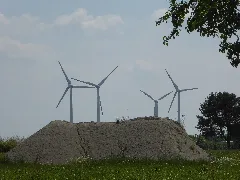 20160604 Xl P1040402 Feldheim Treuenbrietzen Wmc