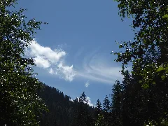 20160730 Xl P1060181 Sankt Anton Am Arlberg Moosbachtal.wmc