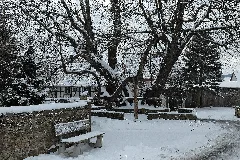 2017 01 16 Gerichtslinde Erdmannrode (Hessen) 02