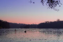 2017 01 22 Hariksee, Abendhimmel Mit Schwänen (Freddy2001)