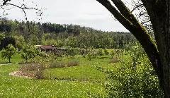 2017 05 06 Goldbach