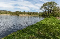 2017 05 06 Nsg Rößlesmahdsee Mit Pfaffenklinge 09